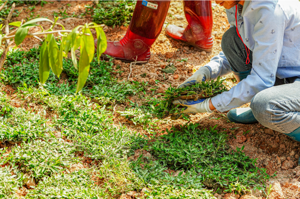 18����luck��(�й�)-�ٷ���վ